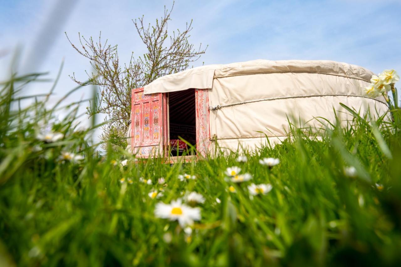 Logements Insolites A La Ferme - Yourte, Kota Ou Pod Farbus Exterior foto